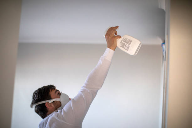 Best Commercial Mold Removal  in Clifton Forge, VA