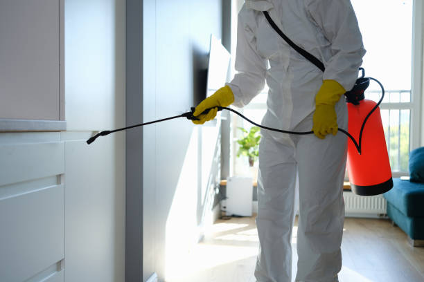 Crawl Space Mold Removal in Clifton Forge, VA