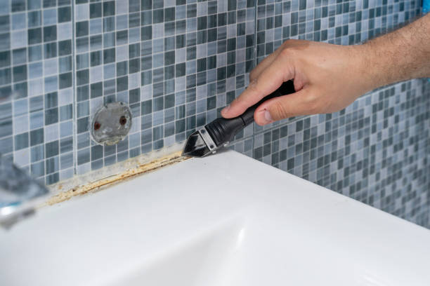 Clifton Forge, VA Mold Removal Pros