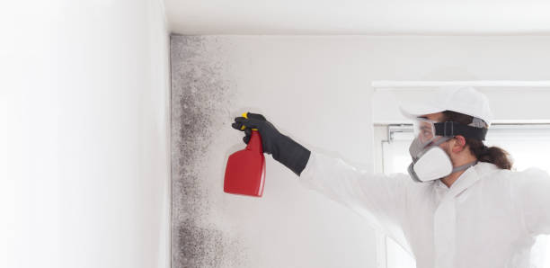 Best Professional Mold Removal  in Clifton Forge, VA
