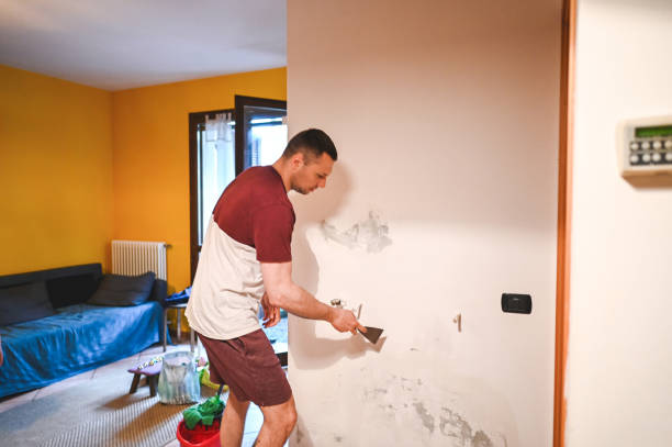 Home Mold Removal in Clifton Forge, VA